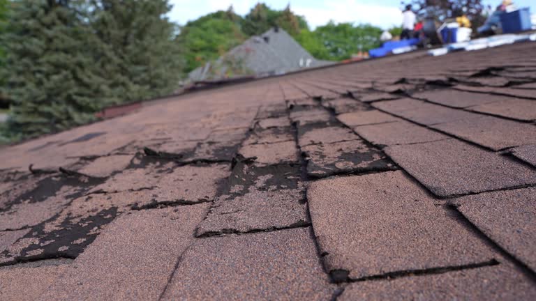 Best Asphalt Shingle Roofing  in Fairmead, CA